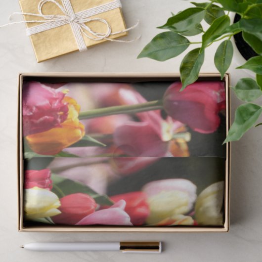 Veertulpen Tissuepapier (Geschenk)