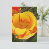 Veertulpen Vat Wenskaart Kaart (Staand voorkant)