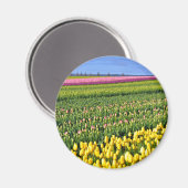 Veertulpveld Magneet (Voorkant / Achterkant)