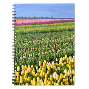 Veertulpveld Notitieboek