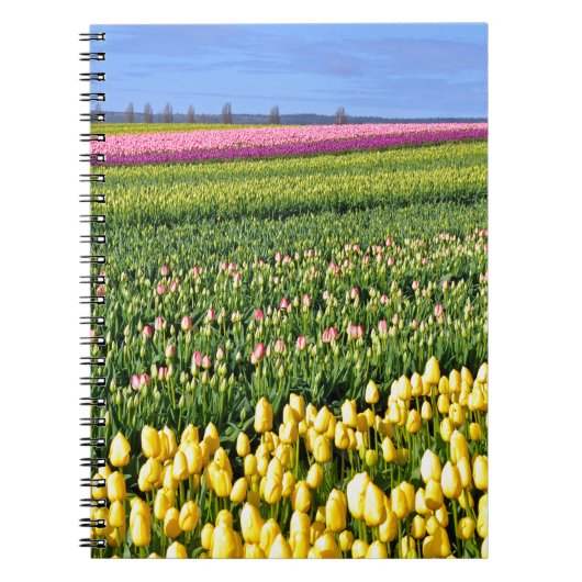 Veertulpveld Notitieboek (Voorkant)