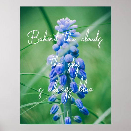 Veerventilator (Graanhyacinth) Poster (Voorkant)