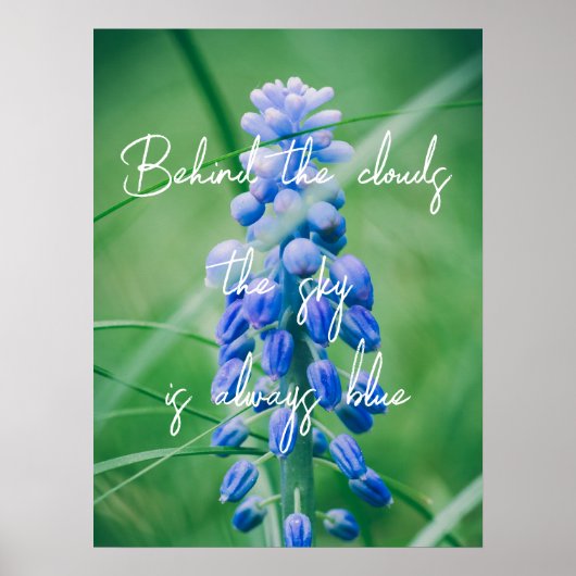 Veerventilator (Graanhyacinth) Poster (Voorkant)