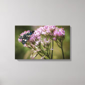 Veervlieg op wilde bloemen canvas afdruk (Voorkant)