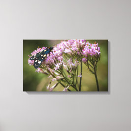 Veervlieg op wilde bloemen canvas afdruk