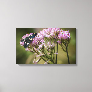 Veervlieg op wilde bloemen canvas afdruk