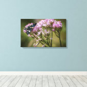 Veervlieg op wilde bloemen canvas afdruk (Insitu (Houten vloer))