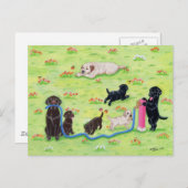 Veervloed Labradors schilderen Briefkaart (Voorkant / Achterkant)