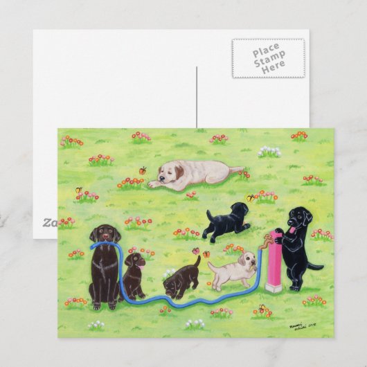 Veervloed Labradors schilderen Briefkaart (Voorkant / Achterkant)