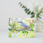 Veervogel Blauwe vogel met roze veer Briefkaart (Staand voorkant)