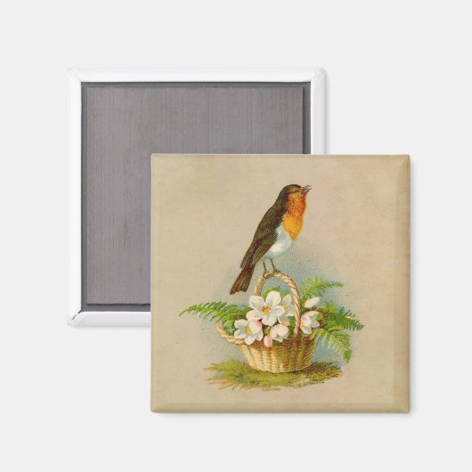 Veervogel op mand magneet (Voorkant / Achterkant)