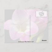 Veervrije bloemen briefkaart (Achterkant)