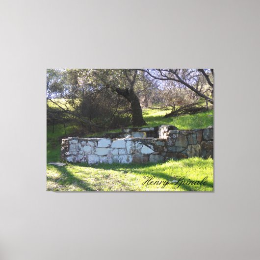 Veerwater fontein op weg naar tafel Mt. Canvas Afdruk (Voorkant)