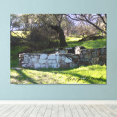 Veerwater fontein op weg naar tafel Mt. Canvas Afdruk (Insitu (Houten vloer))