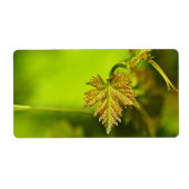 Veerwijngaard Etiket (Voorkant)