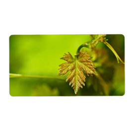 Veerwijngaard Etiket