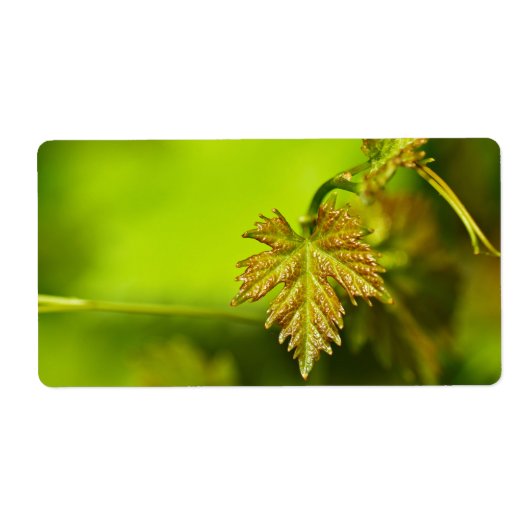 Veerwijngaard Etiket (Voorkant)