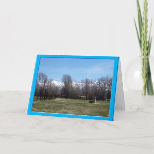 Veeteelt en Ruby Mountains Bedankkaart