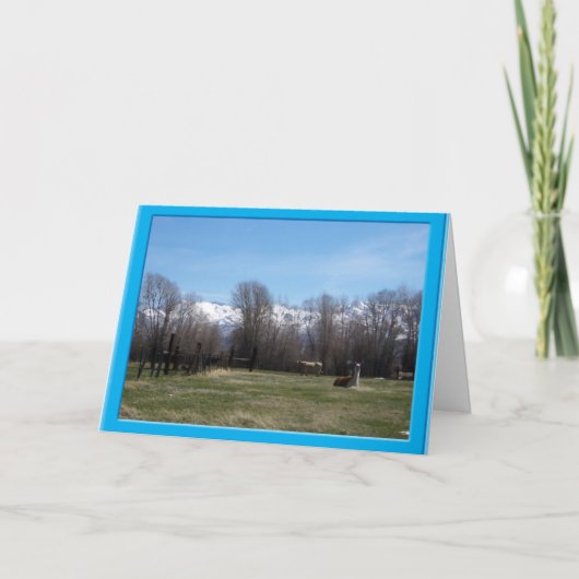 Veeteelt en Ruby Mountains Bedankkaart (Voorkant)