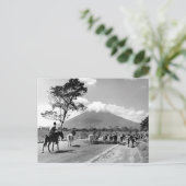  veeteelt voorbij San Miguel Volcano Briefkaart (Staand voorkant)