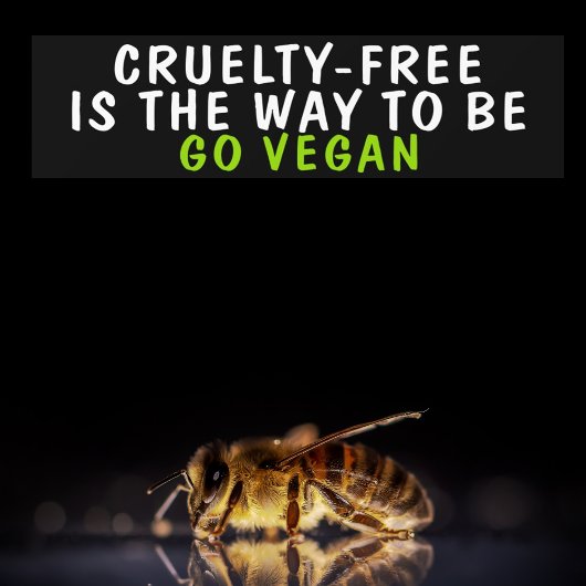Vegan activisme bumpersticker