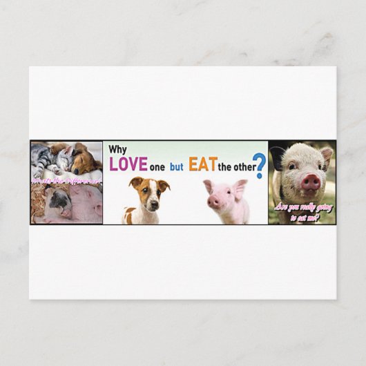 Vegan Gear Wat is het verschil? Briefkaart (Voorkant)