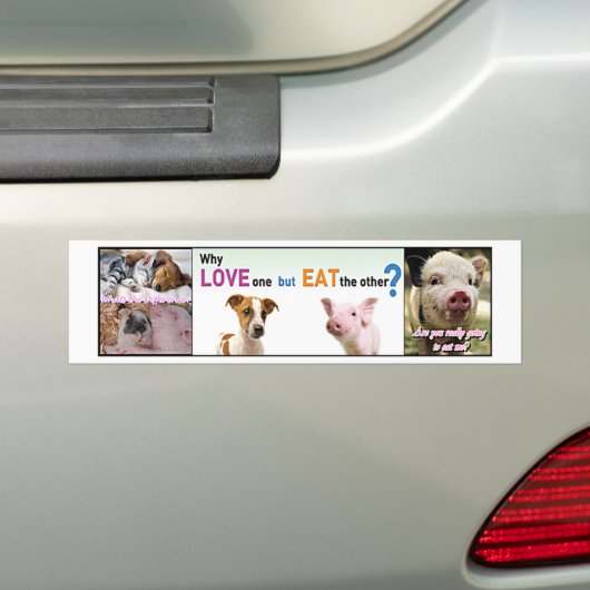 Vegan Gear Wat is het verschil? Bumpersticker (Op auto)