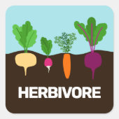 Vegan - herbivore kleurrijke groenten, aangepast vierkante sticker (Voorkant)