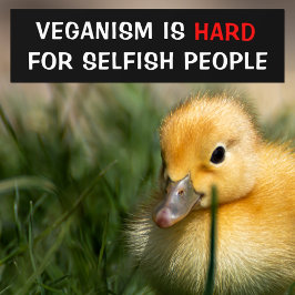 Veganisme is moeilijk voor egoïstische mensen, Veg Bumpersticker