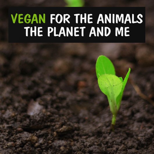 Veganistisch voor de dieren, de planeet en mij act bumpersticker