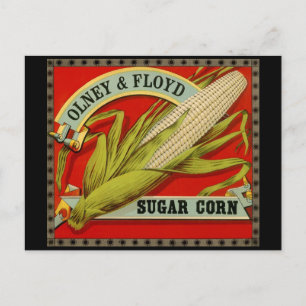 vegetabel, Olney & Floyd Sugar Corn Briefkaart