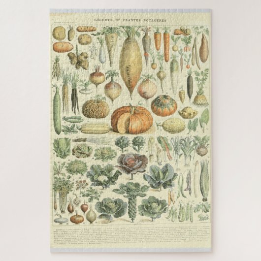 Vegetabelidentificatieoverzicht Legpuzzel (Verticaal)