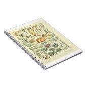 Vegetabelidentificatieoverzicht Notitieboek (Rechterzijde)