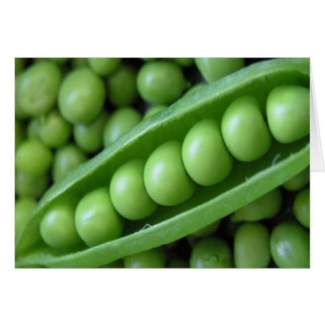VEGETABELLEN (Voorkant Horizontaal)