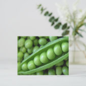 VEGETABELLEN BRIEFKAART (Staand voorkant)