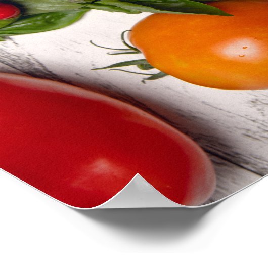 Vegetable and Herb Harvest Poster (Hoek)