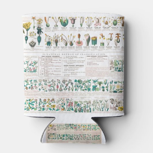 Vegetable botanical poster blikjeskoeler (Achterkant)