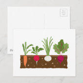 Vegetable Garden Briefkaart (Voorkant / Achterkant)