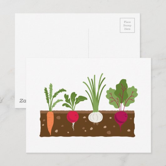 Vegetable Garden Briefkaart (Voorkant / Achterkant)