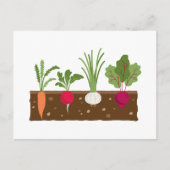 Vegetable Garden Briefkaart (Voorkant)