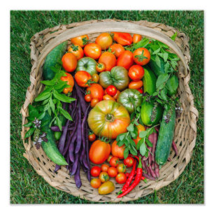 Vegetable Harvest Basket Foto Afdruk