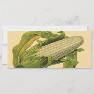 "Vegetable Label Art", geen van deze suikermaïs