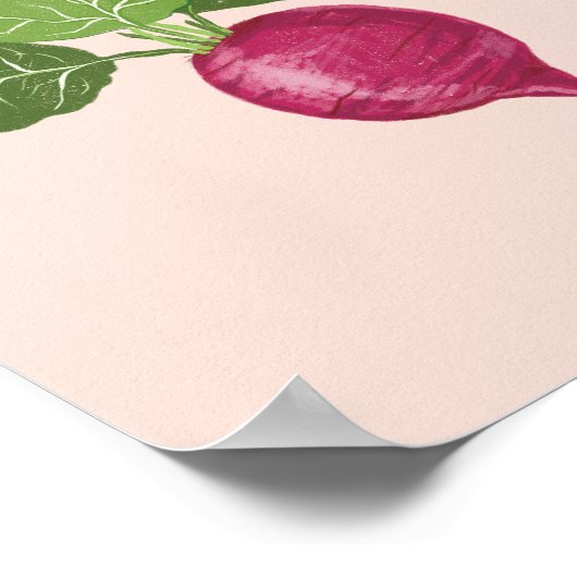 Vegetable wall art - Raddish illustration Poster (Hoek)
