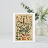 Vegetables  Franse boekpagina Briefkaart (Staand voorkant)