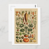 Vegetables  Franse boekpagina Briefkaart (Voorkant / Achterkant)