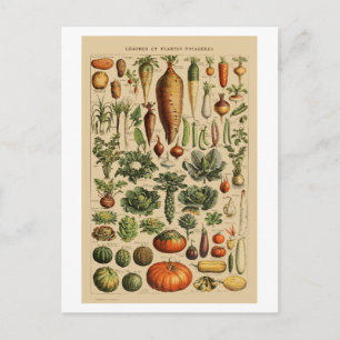 Vegetables  Franse boekpagina Briefkaart