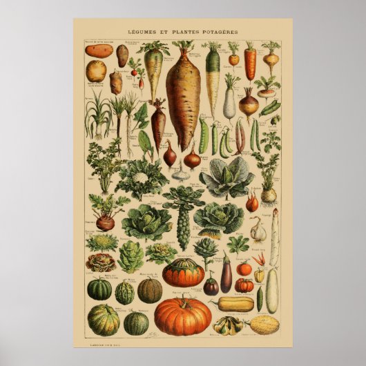 Vegetables Franse boekpagina Poster (Voorkant)