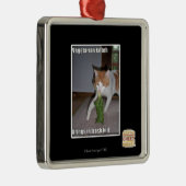 Vegetarian Kitteh Metalen Ornament (Rechts)