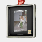 Vegetarian Kitteh Metalen Ornament (Links)