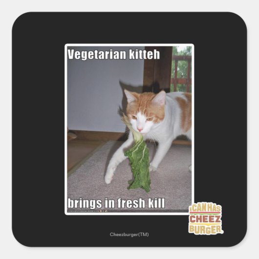 Vegetarian Kitteh Vierkante Sticker (Voorkant)
